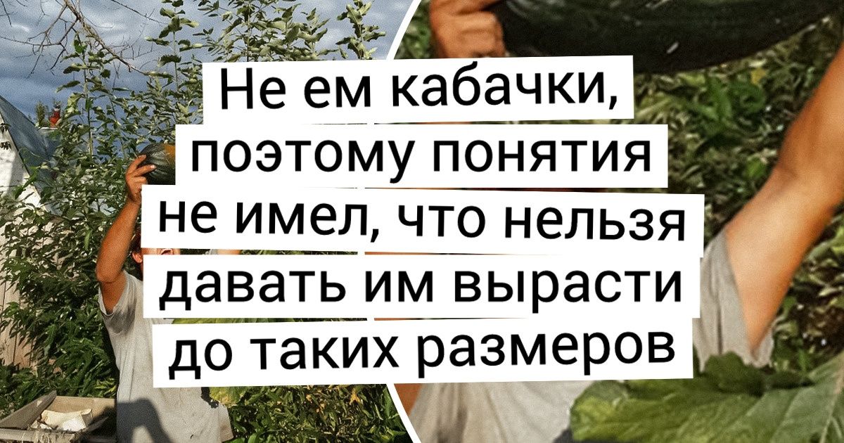 20+ королей холодильников и кладовок, чьи запасы разрослись до фантастических размеров