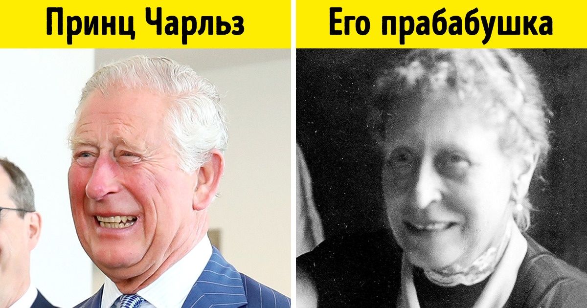 13 членов королевской семьи, которые поражают сходством со своими предками 13 членов королевской семьи, которые поражают сходством со своими предками