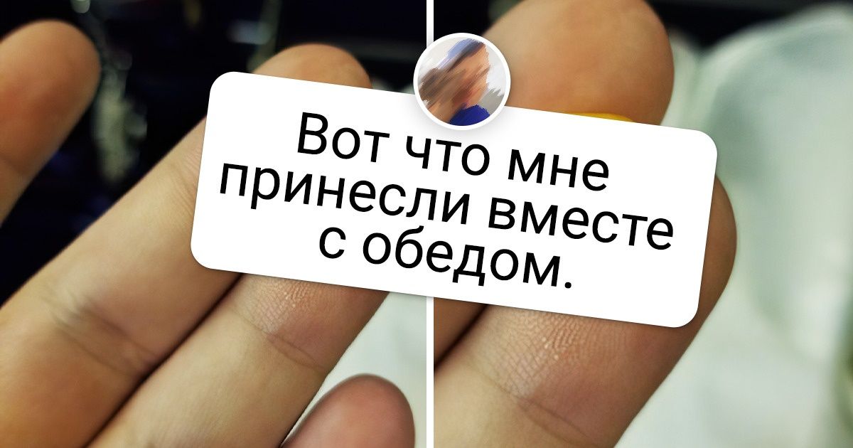 15+ путешественников показали, какие крутые находки поджидали их в аэропортах и самолетах 15+ путешественников показали, какие крутые находки поджидали их в аэропортах и самолетах