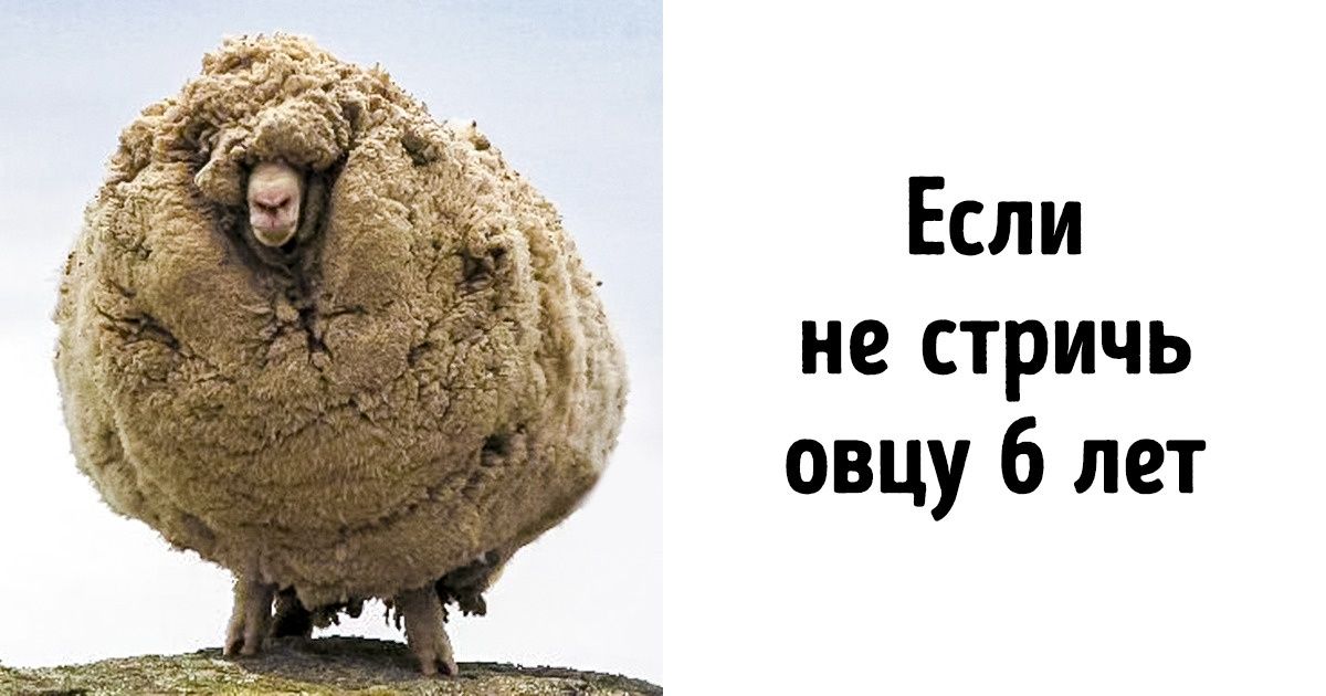 18 редких фотографий, которые нужно увидеть хотя бы раз в жизни 18 редких фотографий, которые нужно увидеть хотя бы раз в жизни