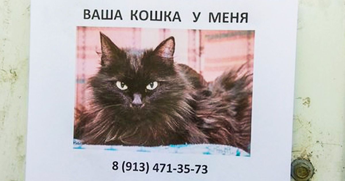 26 человек, каждый из которых по-своему делает этот мир чуточку лучше 26 человек, каждый из которых по-своему делает этот мир чуточку лучше