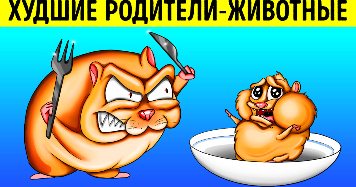 11 самых нерадивых родителей в мире животных