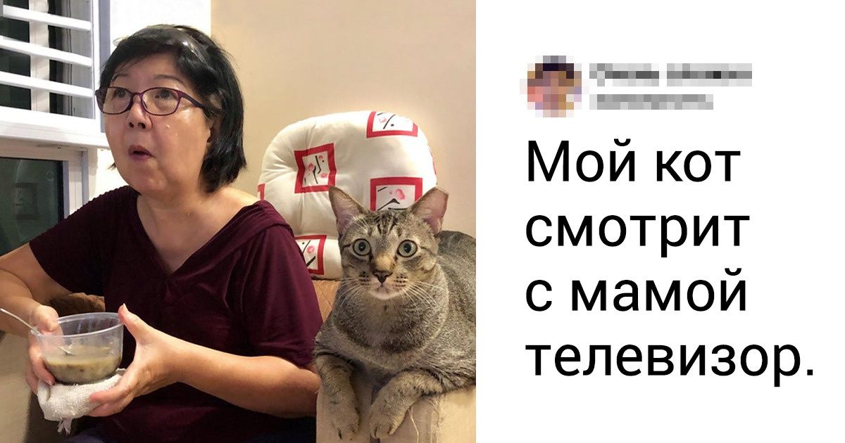 20+ фото, которые покажут, насколько мы близки со своими питомцами 20+ фото, которые покажут, насколько мы близки со своими питомцами