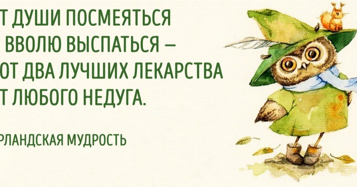 Приколы про мудрость картинки