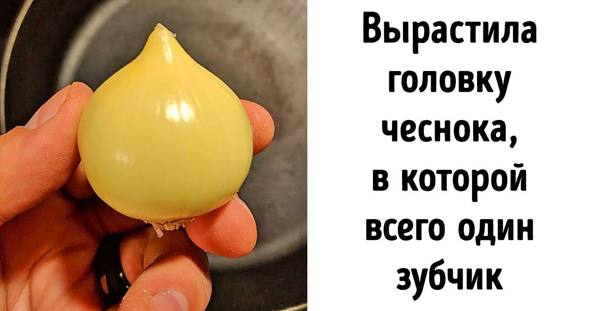 17 раз, когда люди обнаружили сюрприз от природы и не поленились сделать кадр