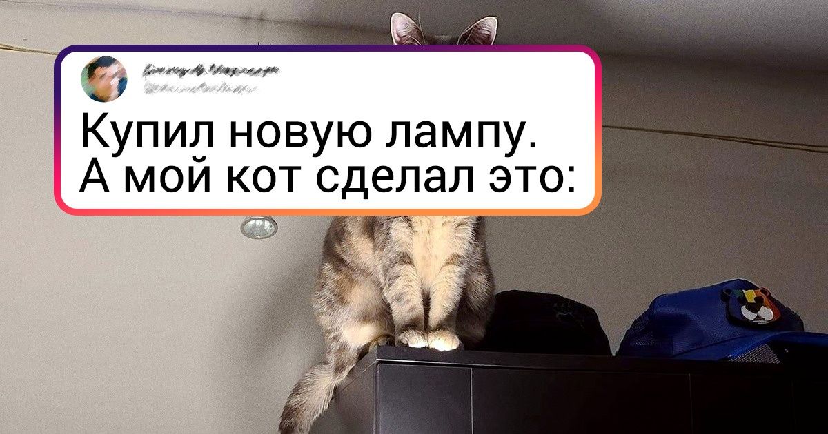 20+ примеров того, что вся соль крутого фото — в удачном ракурсе 20+ примеров того, что вся соль крутого фото — в удачном ракурсе