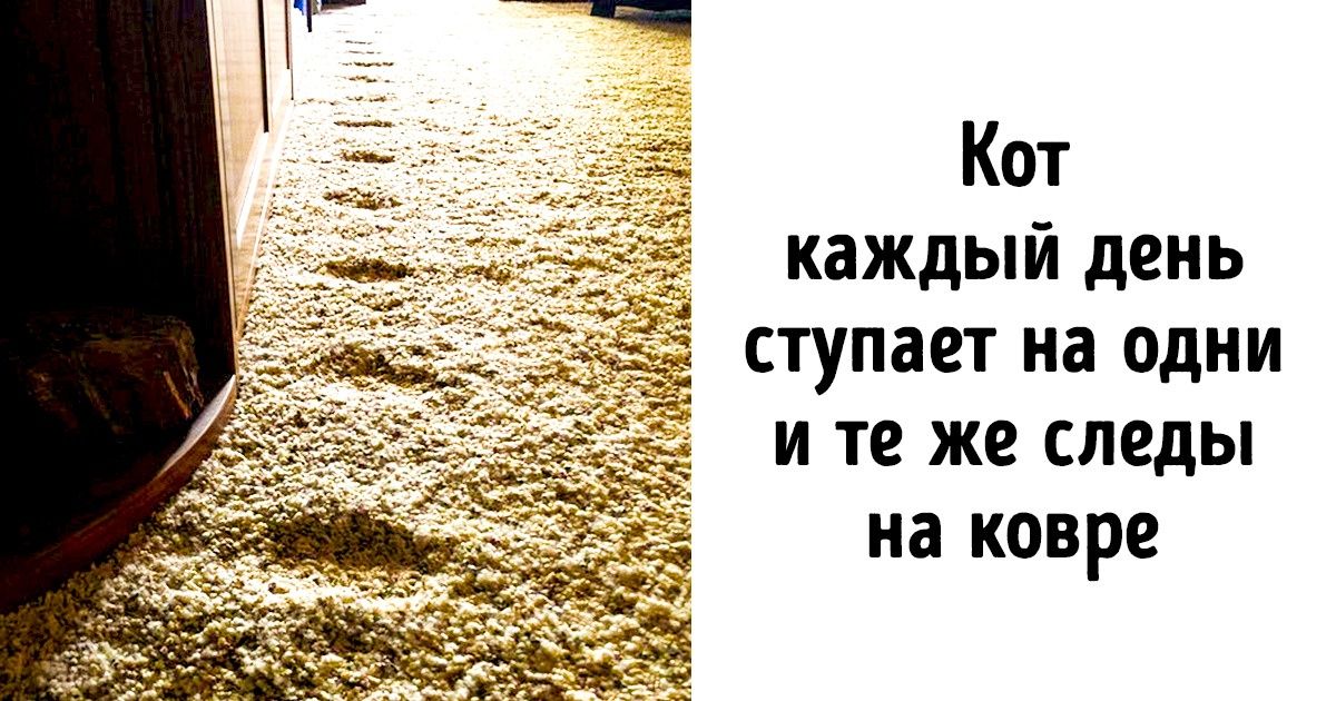 Идеальные снимки помогают справляться со стрессом. Мы собрали 19 таких Идеальные снимки помогают справляться со стрессом. Мы собрали 19 таких