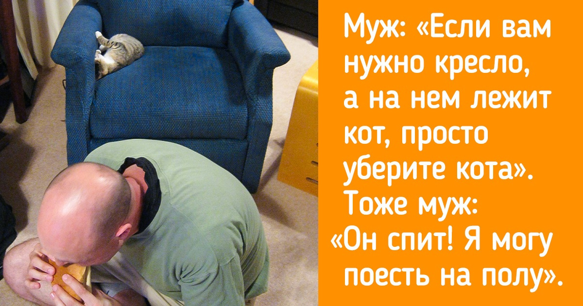 20 фотошедевров, доказывающих, что мы и братья наши меньшие одной крови
