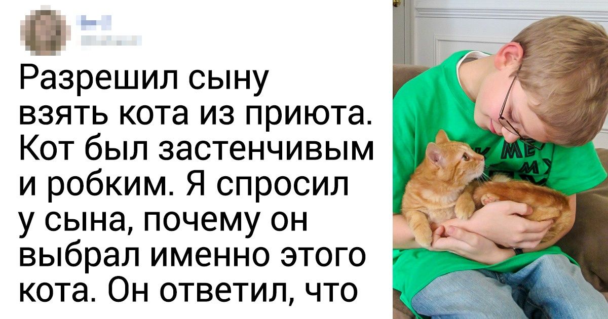 15 человек нашли время, чтобы спасти одно маленькое животное, и обрели друга на всю жизнь 15 человек нашли время, чтобы спасти одно маленькое животное, и обрели друга на всю жизнь