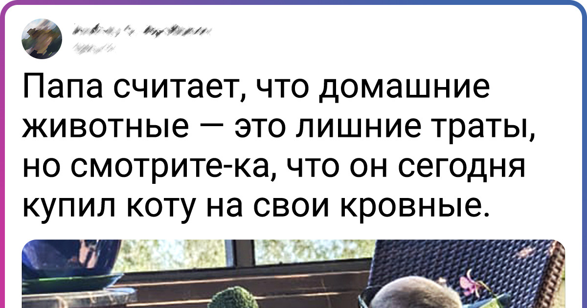 19 человек, которые убедились на собственном опыте, что кошки могут растопить любое сердце 19 человек, которые убедились на собственном опыте, что кошки могут растопить любое сердце
