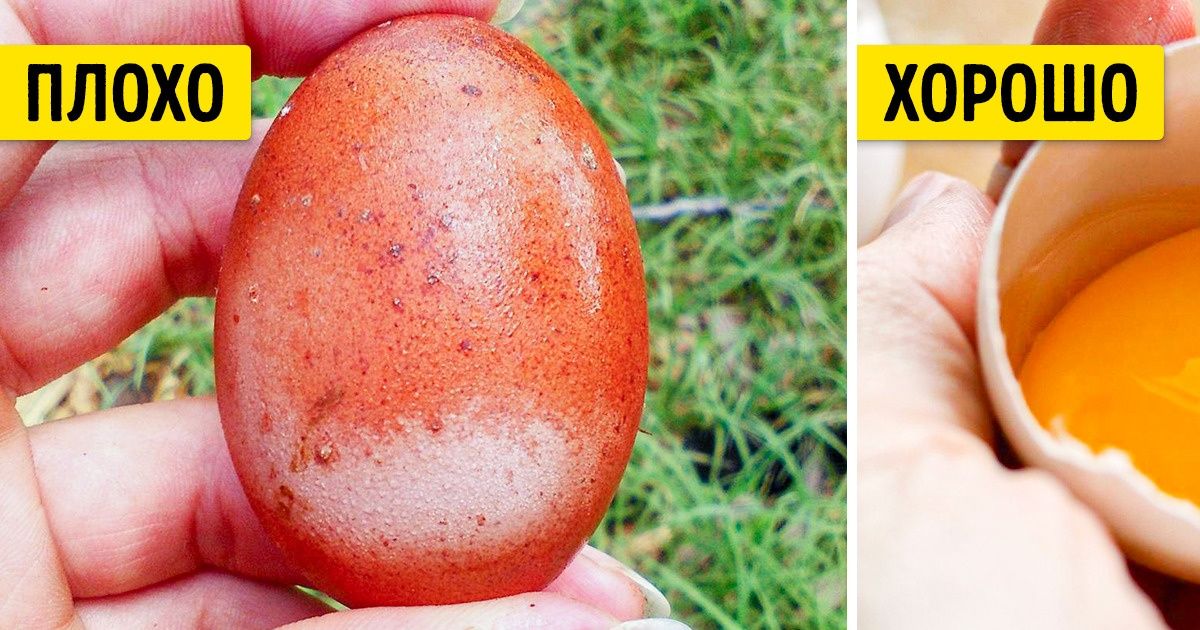 12 секретов, которые производители продуктов питания не расскажут даже своей маме 12 секретов, которые производители продуктов питания не расскажут даже своей маме