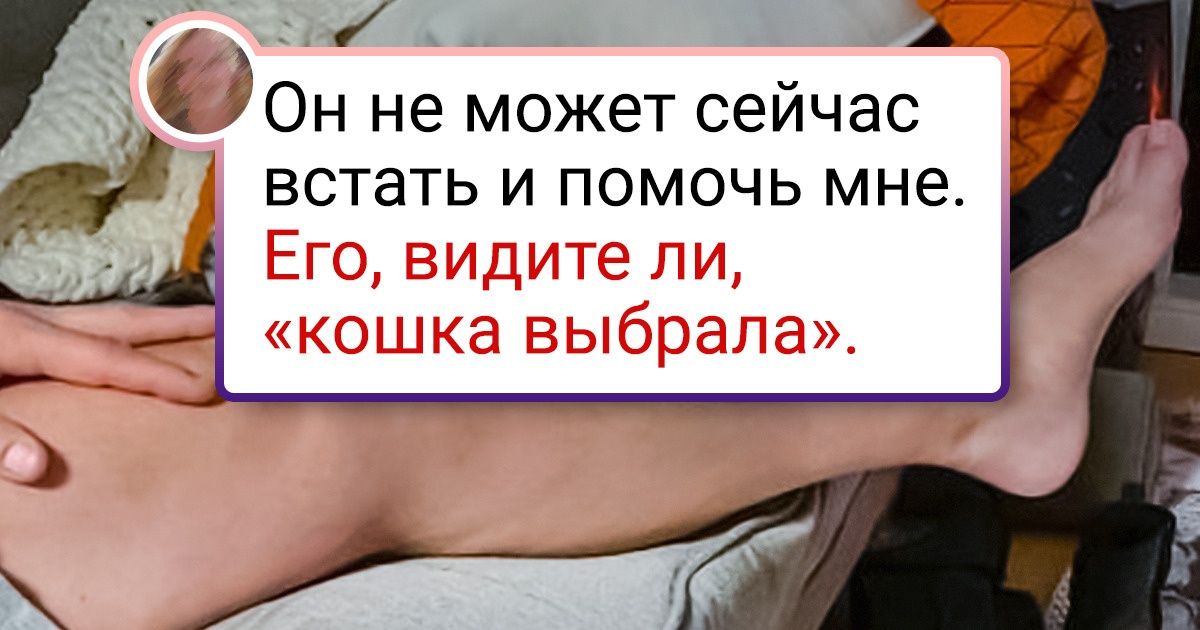 20 мужчин, которые хотели избавиться от «этих шерстяных мешков», а теперь сюсюкаются с ними как маленькие 20 мужчин, которые хотели избавиться от «этих шерстяных мешков», а теперь сюсюкаются с ними как маленькие