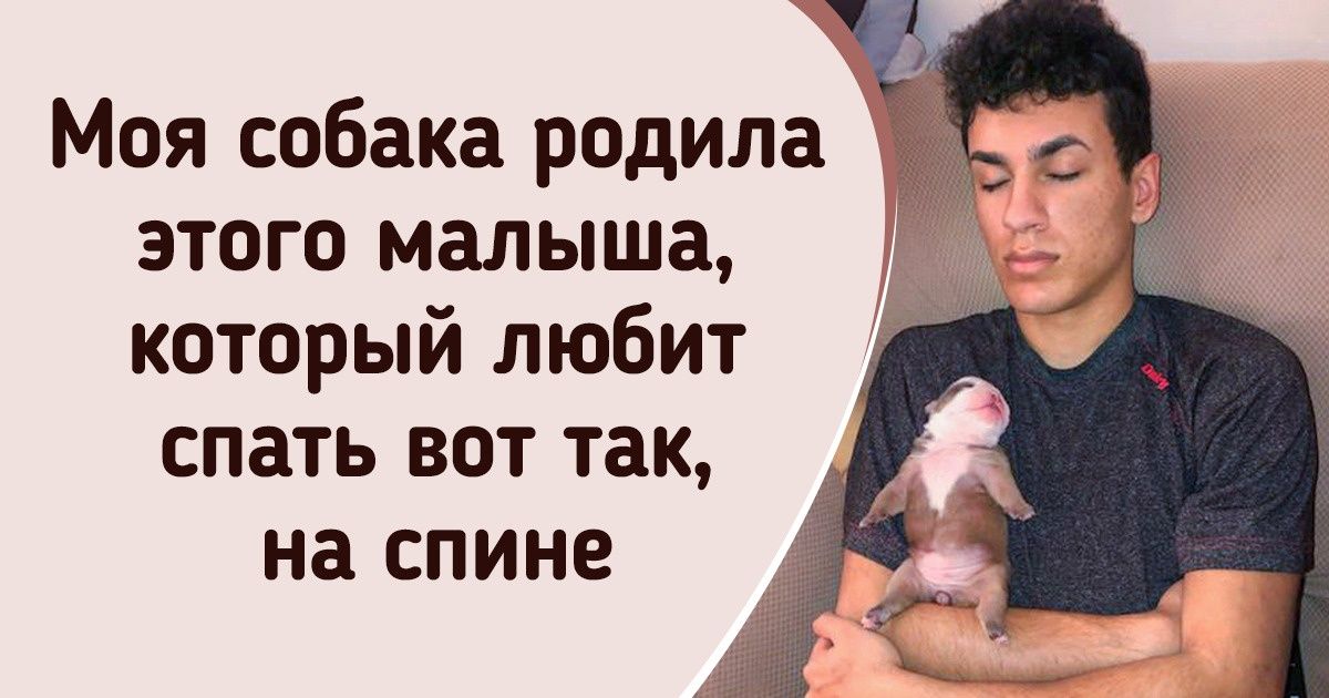 19 человек, которые без ума от своих питомцев и даже спят только с ними в обнимку 19 человек, которые без ума от своих питомцев и даже спят только с ними в обнимку