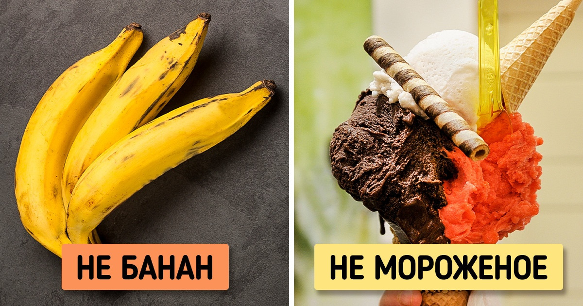 14 вещей и животных, которые мы вечно между собой путаем, но больше не будем 14 вещей и животных, которые мы вечно между собой путаем, но больше не будем