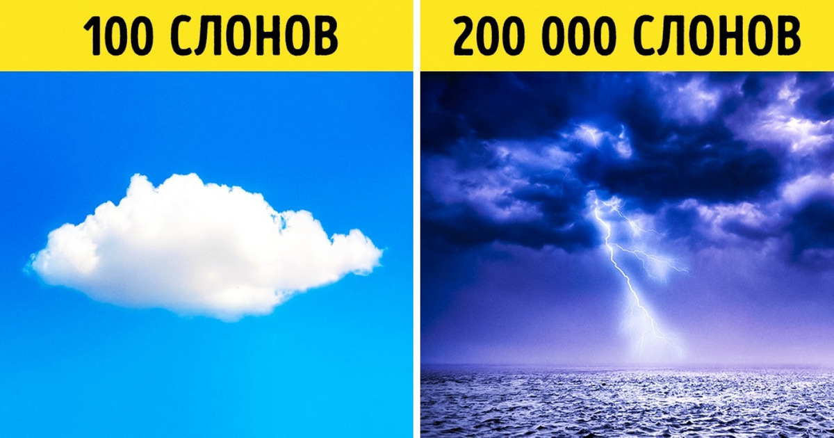 10+ интересных фактов обо всем на свете, о которых вы наверняка не знали