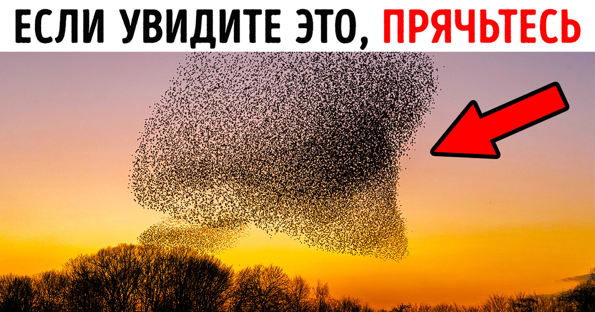 Если увидите это в небе, спрячьтесь в безопасном месте