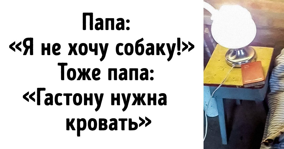 20+ непреклонных мужчин, которые были против «этих ваших животных». Но что-то пошло не так