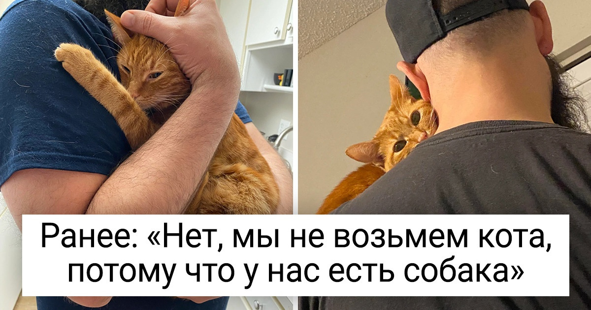 17 мужчин, которые утверждали: «Никаких животных в доме», но потом влюбились в них по уши 17 мужчин, которые утверждали: «Никаких животных в доме», но потом влюбились в них по уши