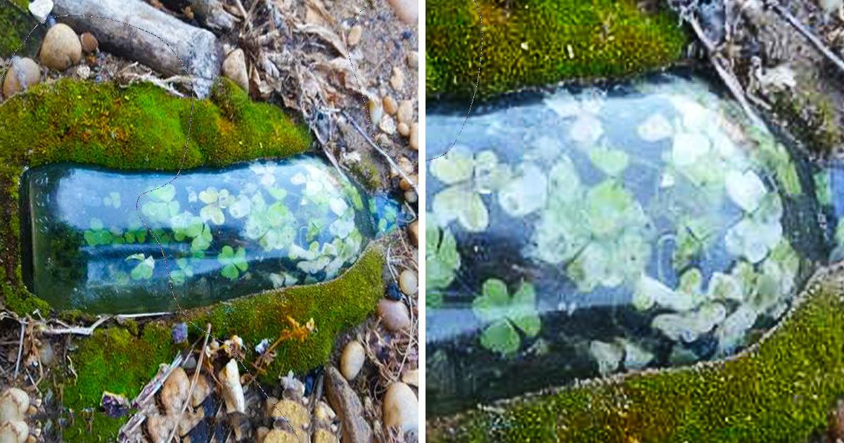 15 фотографий, которые доказывают, что в мире есть еще чему удивляться 15 фотографий, которые доказывают, что в мире есть еще чему удивляться