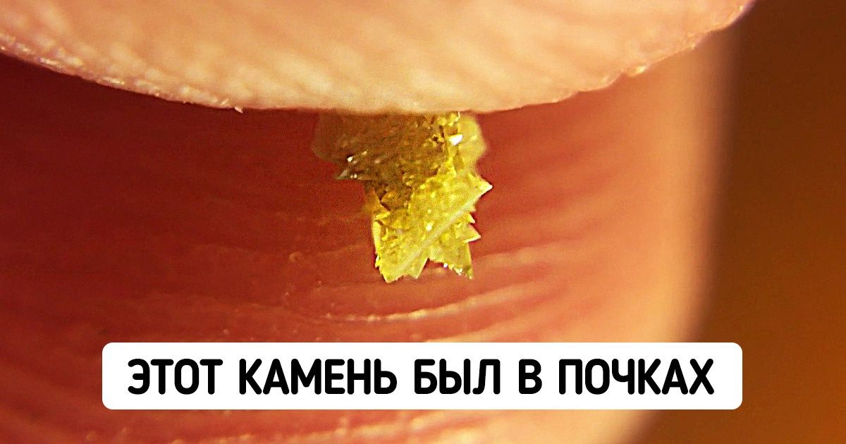 25 любопытных вещей, которые мало кто видел своими глазами 25 любопытных вещей, которые мало кто видел своими глазами