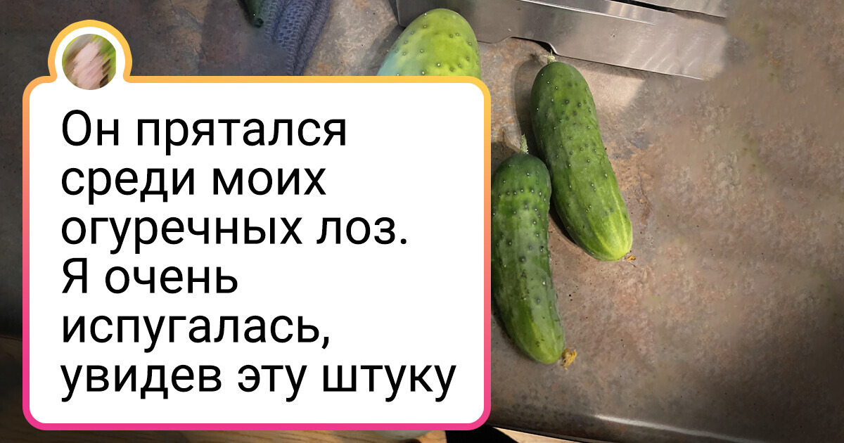 20+ человек, у которых одна страсть – что-то сажать и выращивать 20+ человек, у которых одна страсть – что-то сажать и выращивать