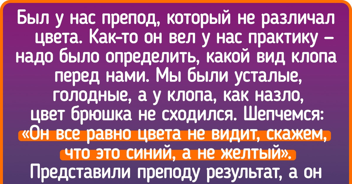 15 историй из студенческих времен, которые словно возвращают в родную общагу 15 историй из студенческих времен, которые словно возвращают в родную общагу