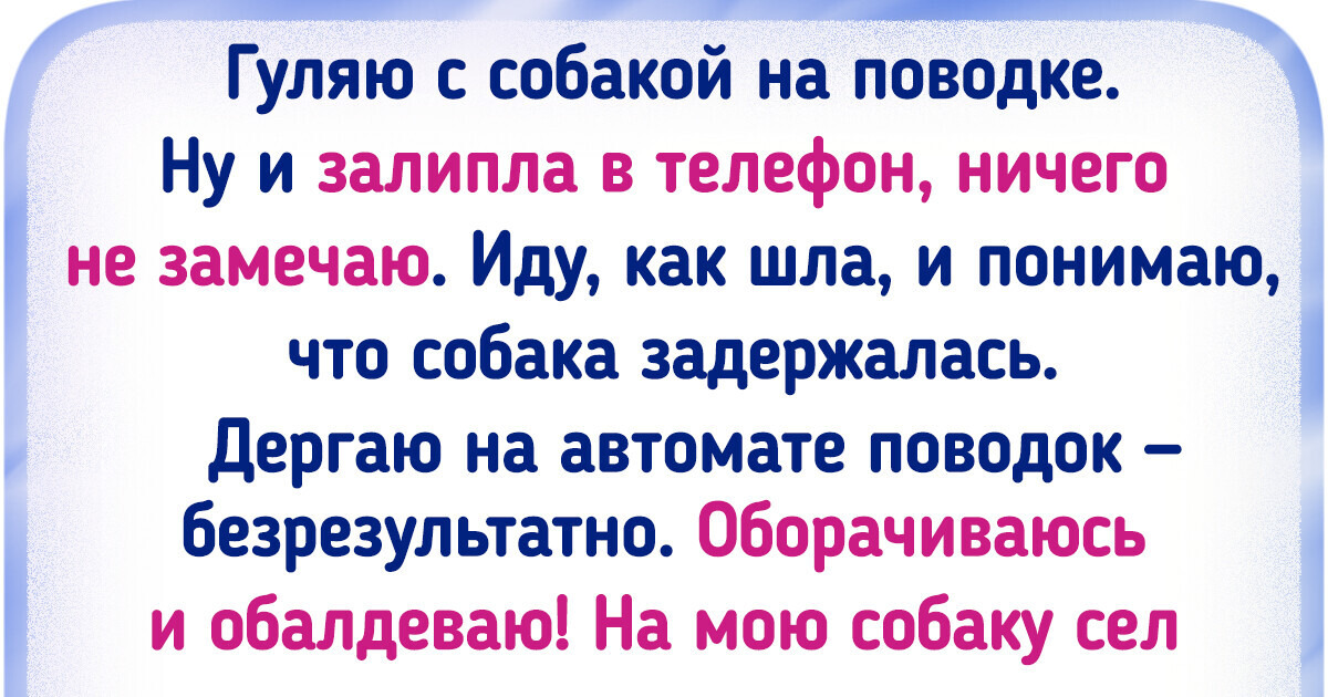 20+ раз, когда хозяева пошли просто выгулять питомца, а влипли в лихую историю