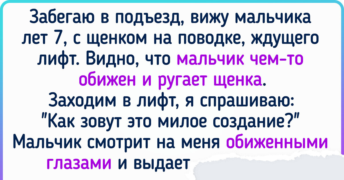 15 питомцев, чьи проделки точно пора выносить на первую полосу газет 15 питомцев, чьи проделки точно пора выносить на первую полосу газет