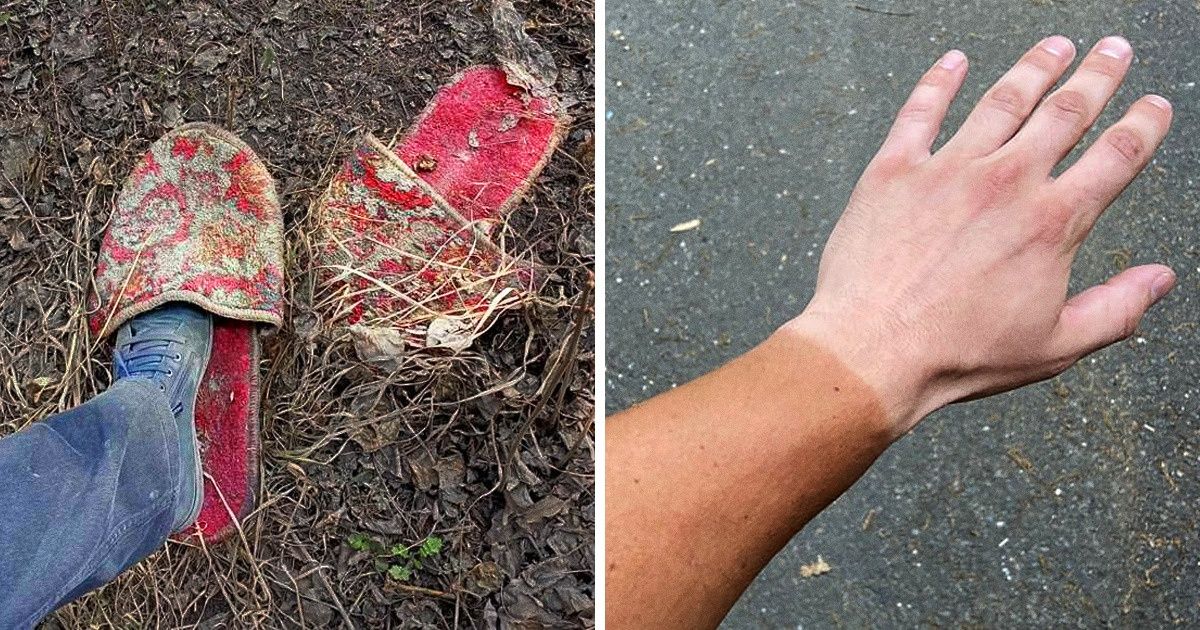 20+ человек, которые обнаружили кое-что любопытное и поспешили этим поделиться