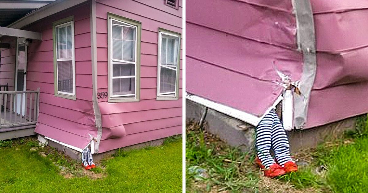 17 случаев, когда люди пошли против системы, и оно того стоило 17 случаев, когда люди пошли против системы, и оно того стоило