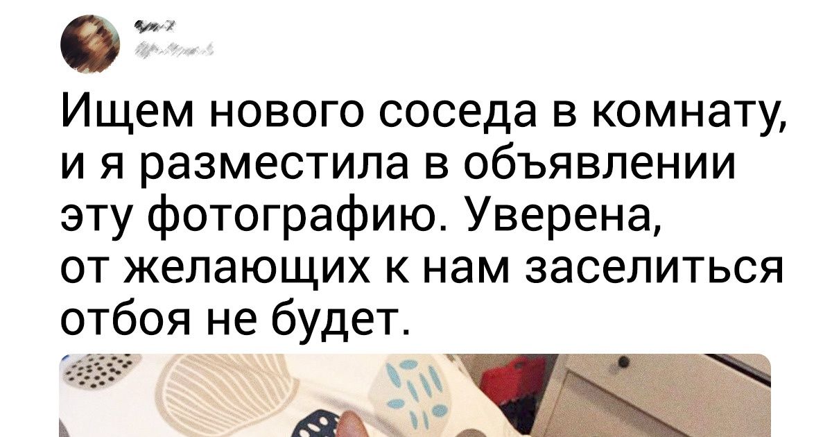 20+ котов, которые помогают своим людям как могут