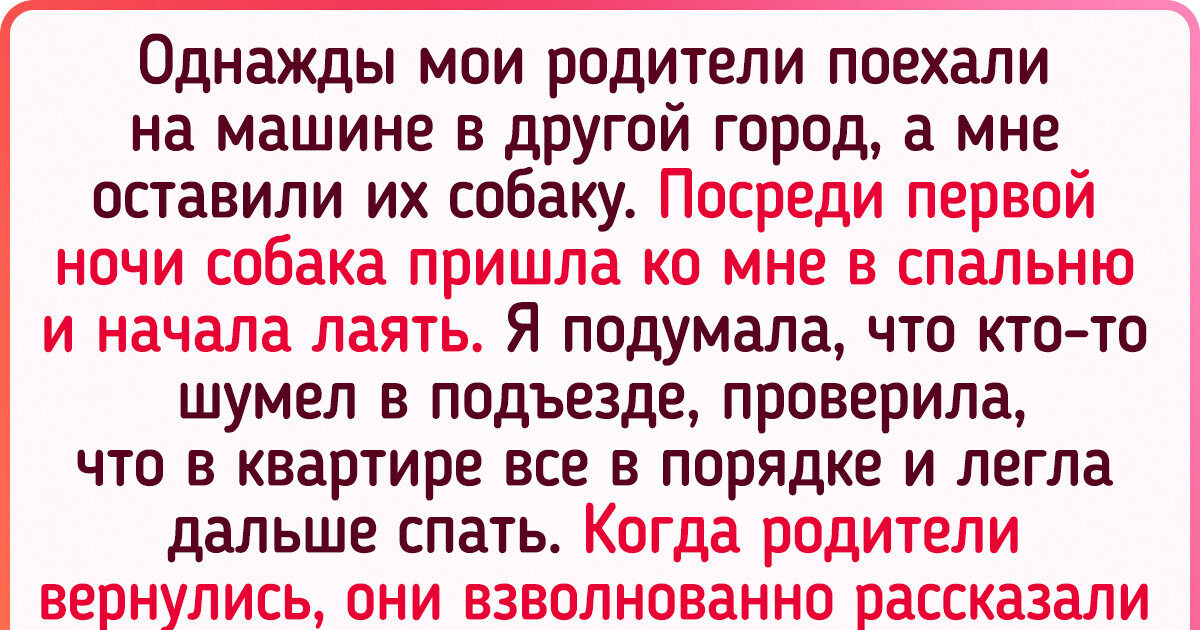 20+ питомцев, которые проявили чудеса сообразительности, сразив всех наповал 20+ питомцев, которые проявили чудеса сообразительности, сразив всех наповал