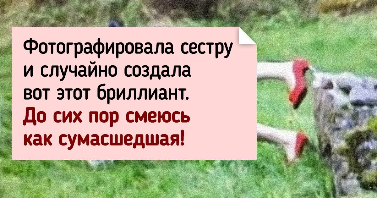 17 везунчиков, кадры которых точно можно повесить в рамку и гордо показывать гостям