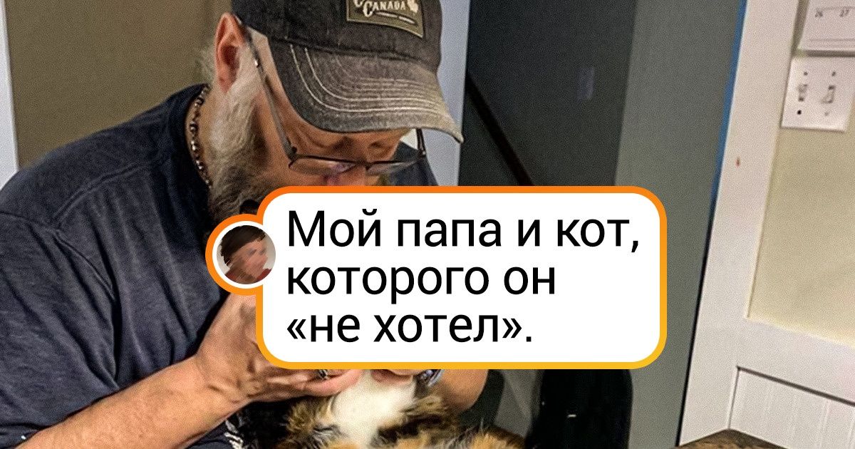 20+ непреклонных мужчин, чье кредо было «Я не любитель животных», а теперь — «А кто это у нас тут такой сладенький?»