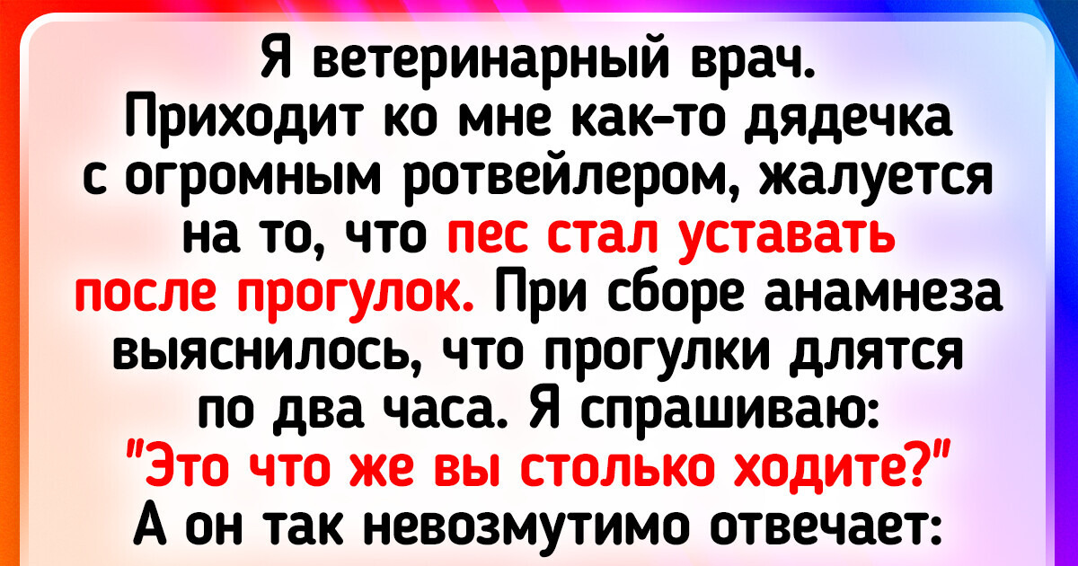 20+ доказательств того, что выгуливать питомца - это не просто ходить по улице 20+ доказательств того, что выгуливать питомца - это не просто ходить по улице