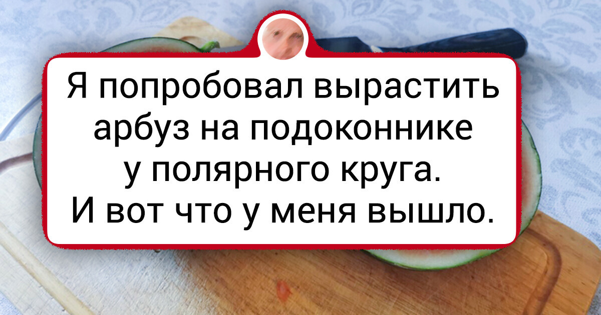18 человек, у которых на подоконнике растут не просто кактусы и алоэ, а нечто поинтереснее