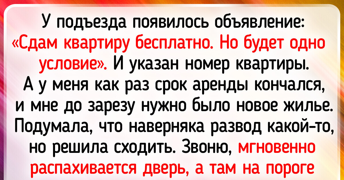 16 объявлений, которые могут поднять настроение на весь день 16 объявлений, которые могут поднять настроение на весь день