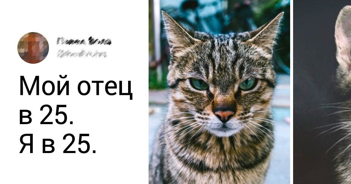 18 человек, которые уже доросли до того, чтобы зажигательно шутить о своем возрасте 18 человек, которые уже доросли до того, чтобы зажигательно шутить о своем возрасте