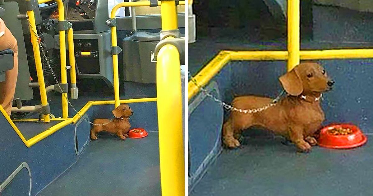 20+ доказательств того, что в каждой работе можно найти свой кайф