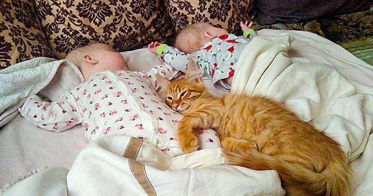 7 ошибок, которые сгоряча совершают почти все молодые мамы (Некоторые из них очень опасны) 7 ошибок, которые сгоряча совершают почти все молодые мамы (Некоторые из них очень опасны)