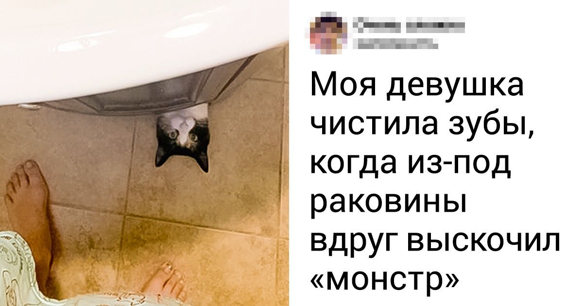 20+ фото животных, которые нужно смотреть каждый раз, когда накатывает осенняя хандра
