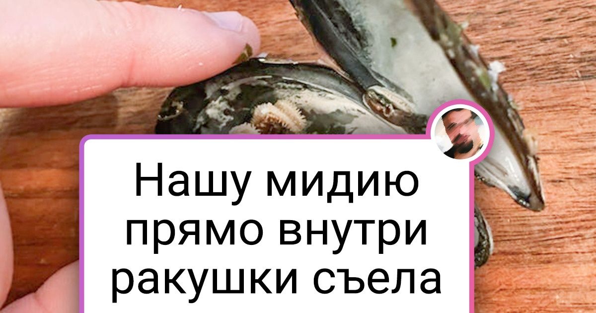 15 человек, которые могли бы снять свою передачу «В мире животных»
