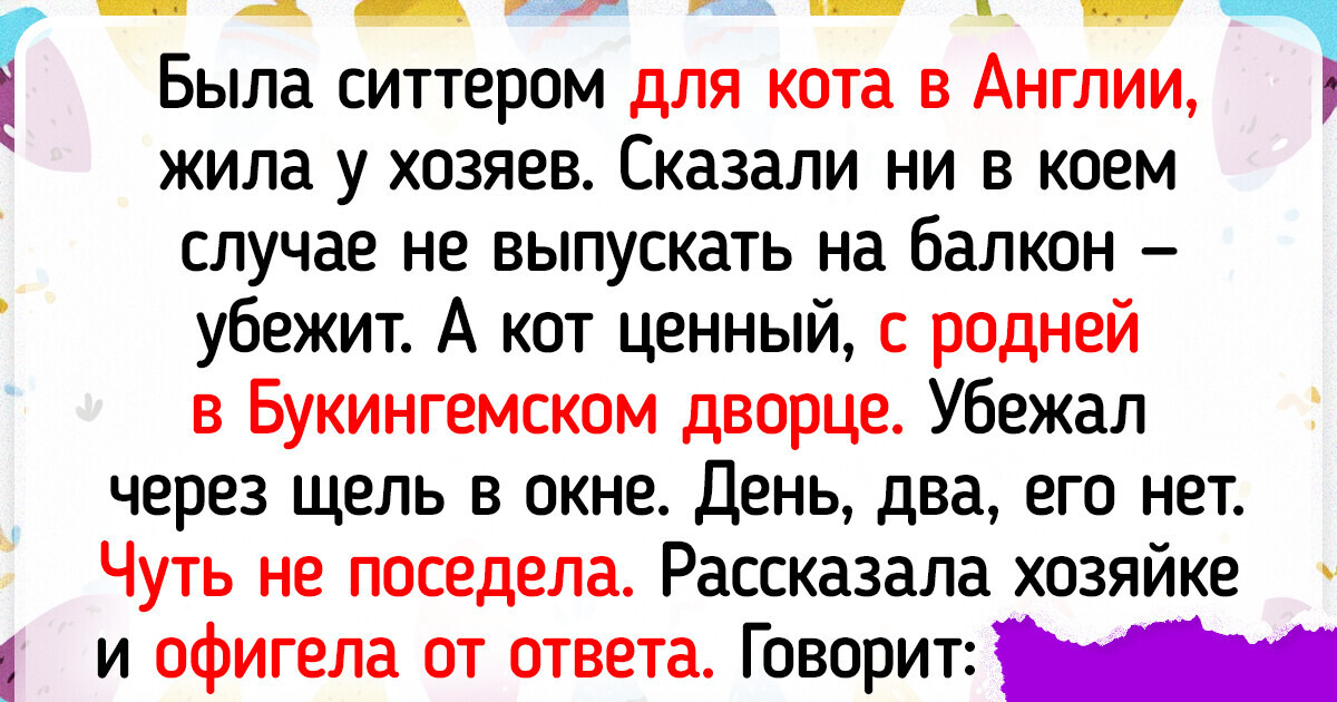 17 историй о питомцах, с которыми заскучать — непозволительная роскошь 17 историй о питомцах, с которыми заскучать — непозволительная роскошь