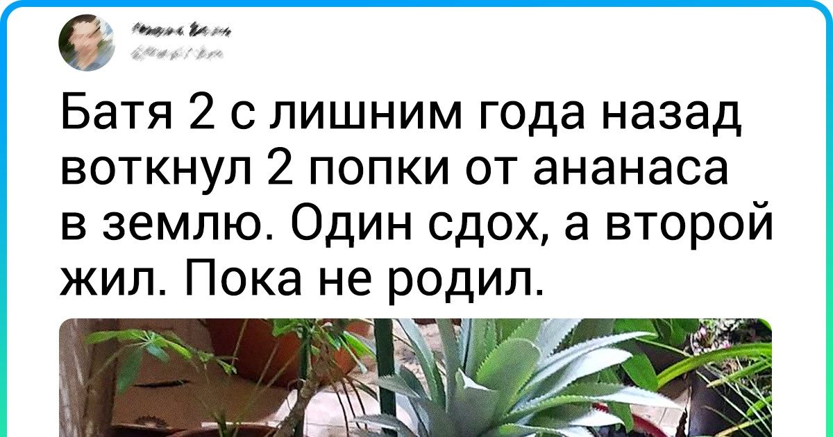 20 случаев, когда жизнь подкинула сюрпризы, которые просто не укладываются в голове