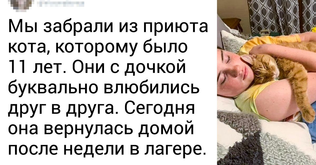 25 человек, которым удалось поймать на фото момент настоящего счастья 25 человек, которым удалось поймать на фото момент настоящего счастья