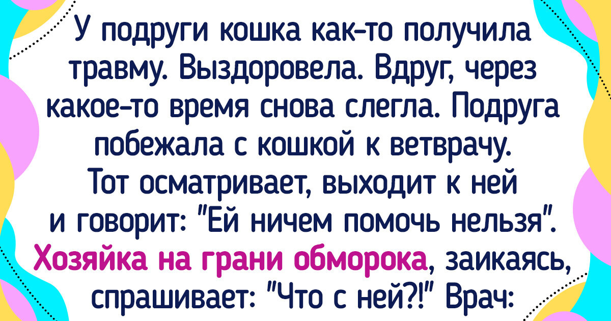 16 человек, которые точно знают, что от своих любимцев можно ожидать чего угодно 16 человек, которые точно знают, что от своих любимцев можно ожидать чего угодно