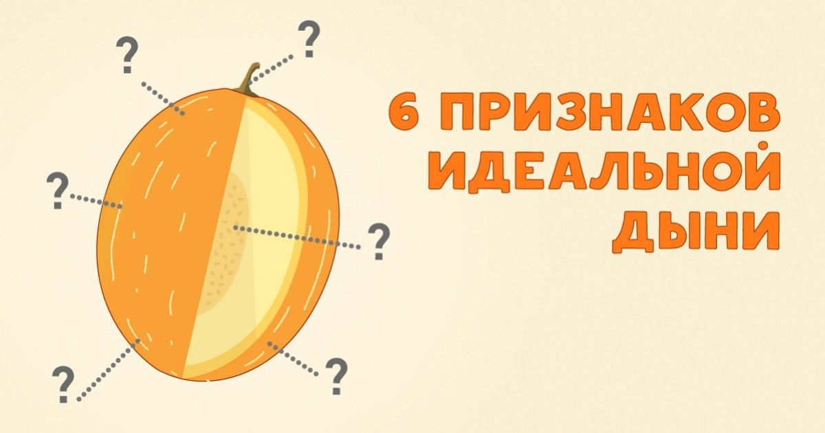 Сколько звуков в слове дыня. Признаков идеальной дыни. 5 Признаков идеальной дыни.