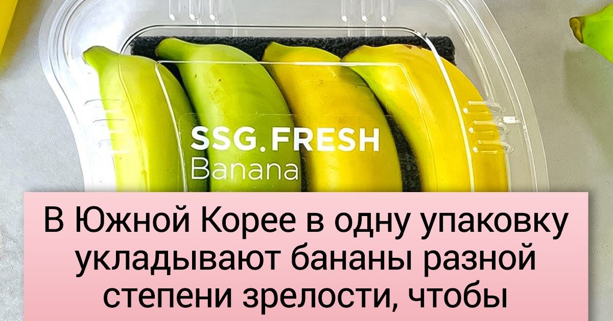 16 гениальных идей, которые воплотили в разных странах. А хотелось бы видеть такие штуки везде 16 гениальных идей, которые воплотили в разных странах. А хотелось бы видеть такие штуки везде