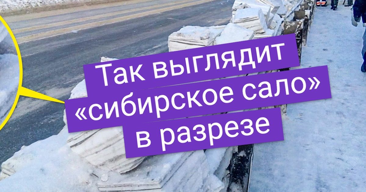 20 человек решили взглянуть на знакомые вещи под непривычным углом. И добрались до самой сути 20 человек решили взглянуть на знакомые вещи под непривычным углом. И добрались до самой сути