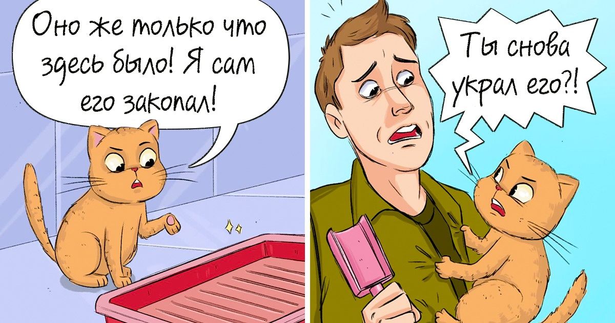 20 случаев, о которых наши коты с удовольствием рассказали бы психологу, умей они говорить 20 случаев, о которых наши коты с удовольствием рассказали бы психологу, умей они говорить
